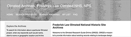 ORGO Masthead with outline